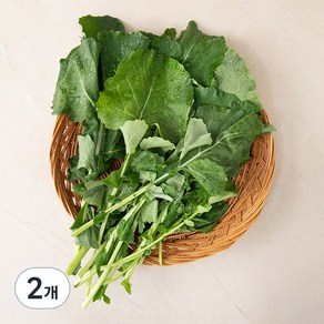 국내산 유채나물, 250g, 2개