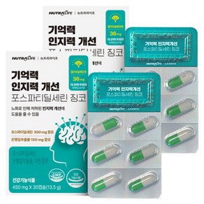 기억력 인지력개선 포스파티딜세린 징코 45g, 30정, 2개