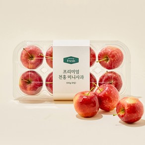 프리미엄 천홍 미니사과 8입, 500g, 1개