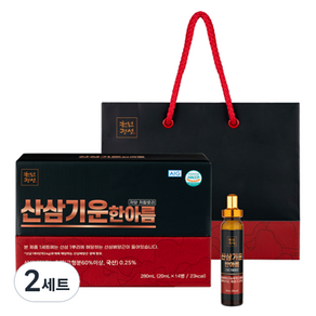 천년정성 산삼기운한아름 농축액 20mL x 14p 세트 + 쇼핑백, 2세트, 280ml