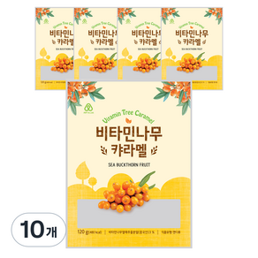 안신 비타민나무 캬라멜, 120g, 10개