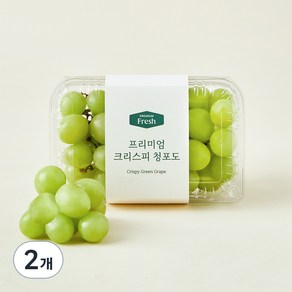 프리미엄 크리스피 청포도, 500g, 2개