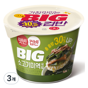 햇반 컵반 BIG 소고기 미역 국밥