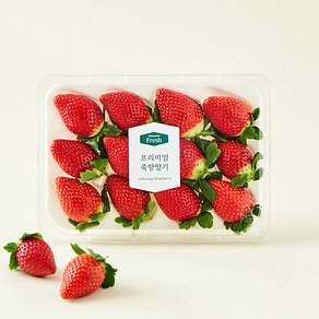 프리미엄 죽향 딸기, 380g, 1개