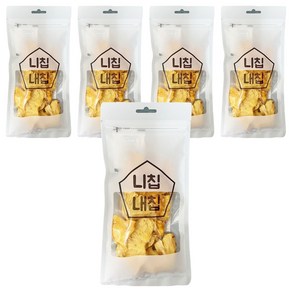 니칩내칩 건조 파인애플, 40g, 5개