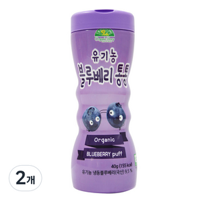 OganicStoy 유아용 유기농 블루베리통통 과자, 블루베리, 40g, 2개