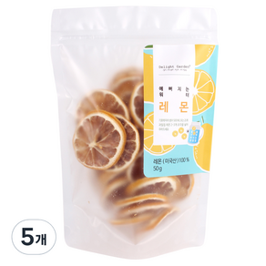 딜라잇가든 예뻐지는 워터 레몬칩, 50g, 5개