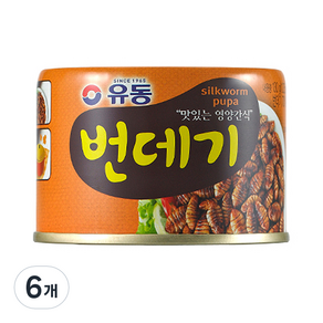 유동 번데기, 130g, 6개