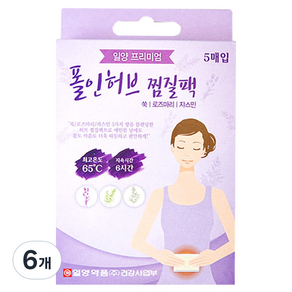 일양약품 폴인허브 찜질팩 5p, 6개