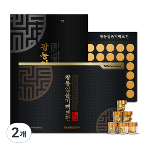 광동 일품 기력보환 60p + 쇼핑백, 225g, 2개