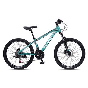 트라젠 MTB 자전거 TM2400D, 민트, 60.96cm, 1개