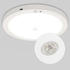 LED 포인트 원형 센서등 15W, 화이트 주광색, 1개