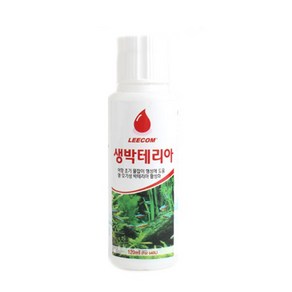 리컴 생박테리아, 1개, 120ml