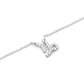 다니엘웰링턴 여성용 CRYSTAL ZODIAC CHAIN NECKLACE 별자리 패션 목걸이