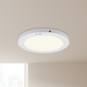 원하 DS 원형 슬림 엣지 센서등 LED 20W 20.3cm, 화이트 + 주백색, 1개