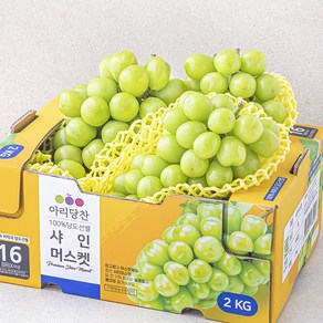 아리당찬 비파괴 당도선별 샤인머스켓, 2kg, 1개