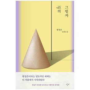 백의 그림자(큰글자도서)