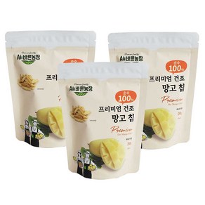 올바른농장 프리미엄 동결건조과일 망고 칩, 20g, 3개