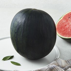 한반도 까망 애플수박, 3kg 미만, 1개