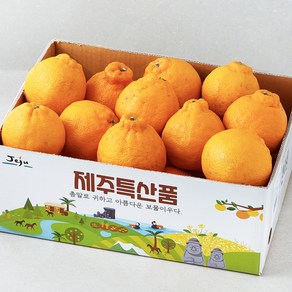 가족 못난이 한라봉, 2.5kg(랜덤과), 1개