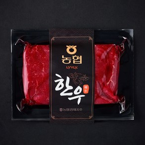 농협 한우 1등급 육전용 (냉장), 1개, 300g