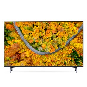 LG전자 4K UHD LED TV, 107cm(43인치), 43UR642S0NC, 스탠드형, 방문설치