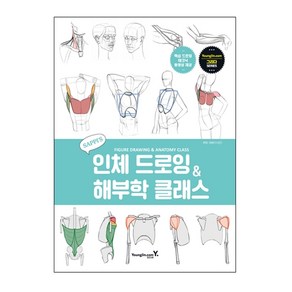 새삐의 인체 드로잉 & 해부학 클래스