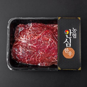 농협안심한우 1등급 정육 불고기용 (냉장), 600g, 1개