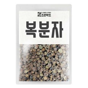 조은약초 건조 복분자, 600g, 1개