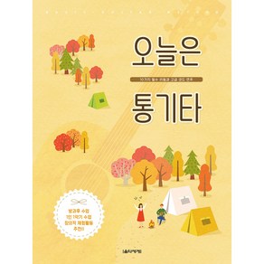 오늘은 통기타:10가지 필수 리듬과 고급 코드 연주