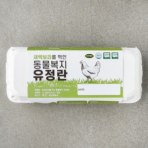 자연애찬 동물복지 인증 새싹보리를 먹인 유정란 520g, 1개, 10구