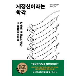 제정신이라는 착각:확신에 찬 헛소리들과 그 이유에 대하여, 필리프 슈테르처, 김영사