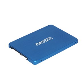 리뷰안 900G 비즈 SATA SSD