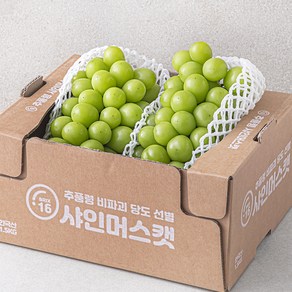 한반도 비파괴 당도선별 샤인머스켓, 1.5kg, 1개