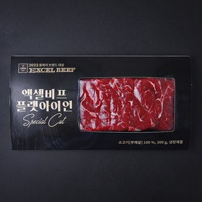 엑셀비프 미국산 플랫아이언 (냉장), 1개, 300g