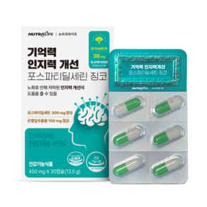 기억력 인지력개선 포스파티딜세린 징코 45g