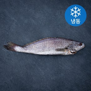 목포수협 민어 통치 (냉동), 450g, 1팩