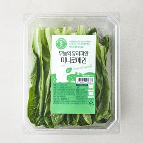 그린래빗 무농약 인증 유러피안 미니로메인 샐러드, 100g, 1개