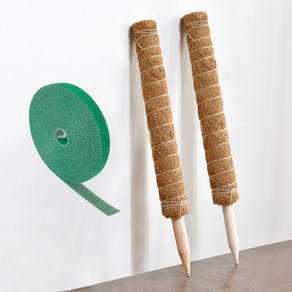 식물지지대 연결형 수태봉 50cm x 2p + 원예용 벨크로 5m 세트, 1세트