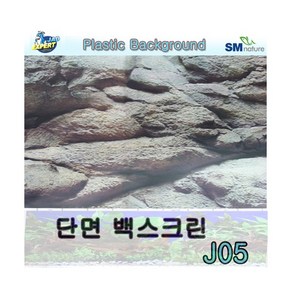 단면 백스크린 [J05] [암벽] [30cm]