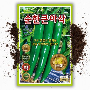 큰 아삭이 고추씨앗 100립 안매운 오이맛 고추 씨 종자, 1개