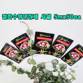 (샤인) 플로라라이프 (절화수명 연장제) 사쉘 5ml x50ea 무료배송/100배 고농축, 50개