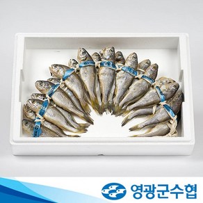 [영광군수협굴비 1+1]법성포 국내산 굴비 20마리 x 2세트(총 40마리), 1.0kg(17cm내외) x 2세트, 2개