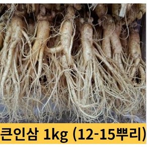 큰인삼 수삼 5 6년근 인삼 1kg 12-15뿌리 금산인삼 세척수삼