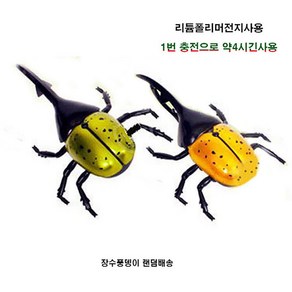 토키즈 장수풍뎅이 RC완구 랜덤배송 비틀RC 곤충무선조정, 1개