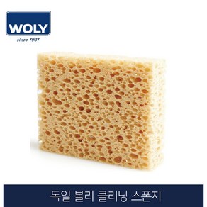 독일 볼리 클리닝스폰지 구두약 묻혀 사용, 1개, 1개