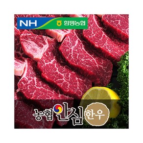 농협안심한우 안심 함평농협, 1개, 300g 이유식용(1등급)