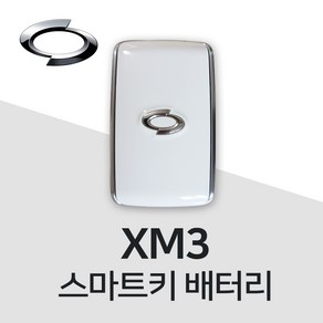 XM3 스마트키 건전지 차키 배터리 밧데리, 1개