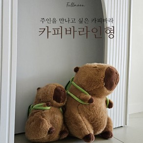 애착인형 거북이가방 카피바라인형30cm, 큰것