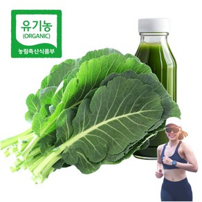 명품 친환경 유기농 케일 (무농약+무화학비료) 당일수확 녹즙 주스 용, 1개, 1kg
